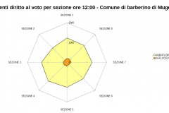 Afflusso camera ore 12:00 - 18,26%