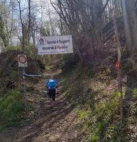 ultra trail