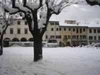 neve